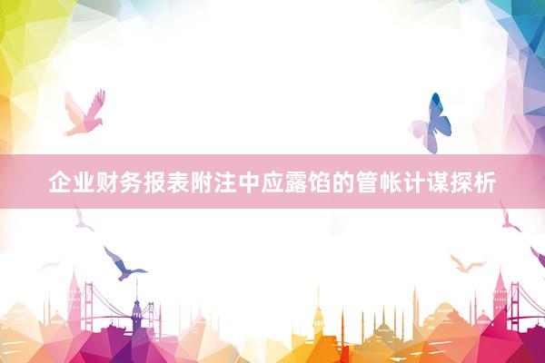 企业财务报表附注中应露馅的管帐计谋探析