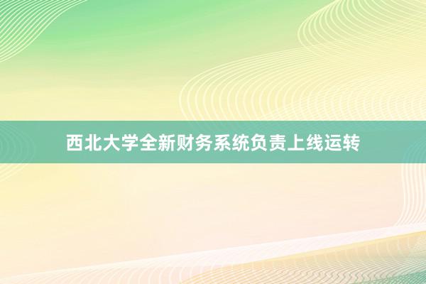 西北大学全新财务系统负责上线运转