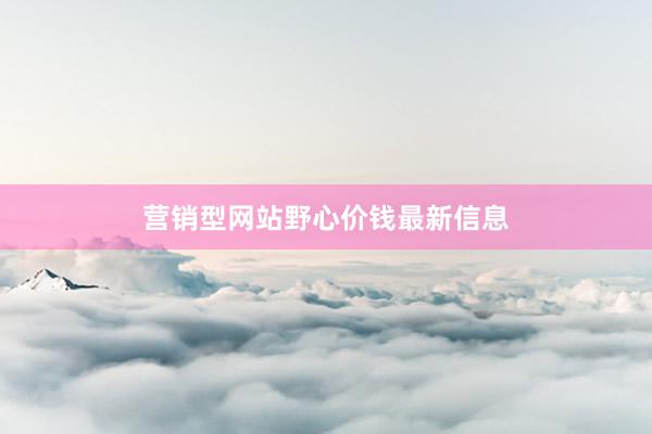 营销型网站野心价钱最新信息