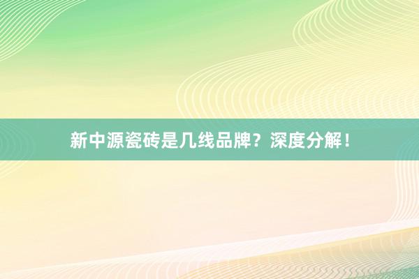 新中源瓷砖是几线品牌？深度分解！
