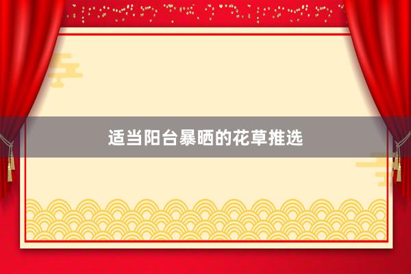 适当阳台暴晒的花草推选